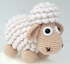 kleines Schafe